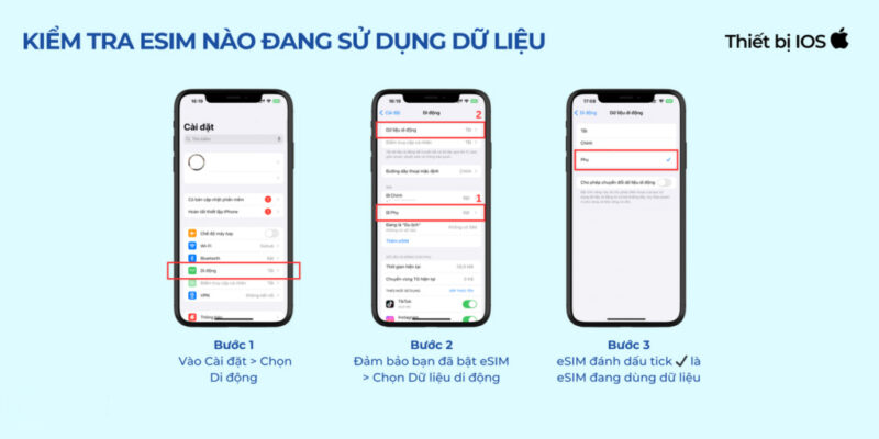Cách Kiểm Tra eSIM Đang Sử Dụng Dữ Liệu IOS