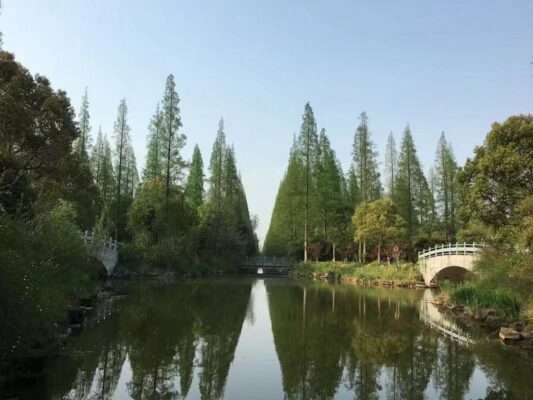 Dongping National Forest Park Shanghai