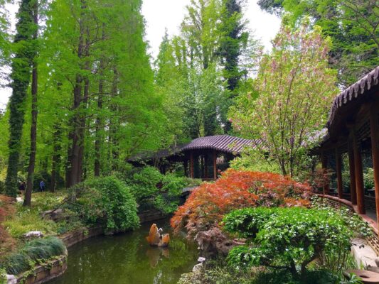 Shanghai Botanical Garden